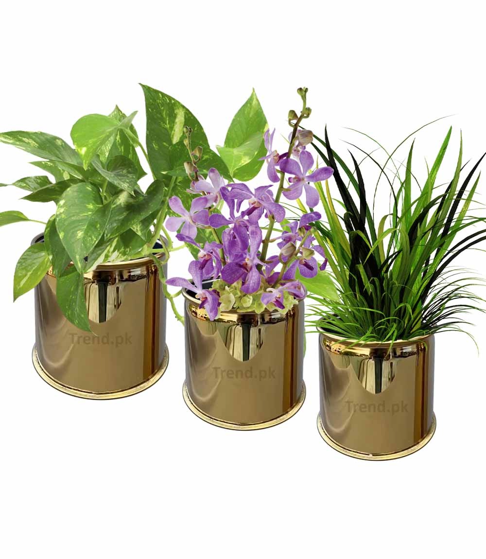 Golden table plant pots